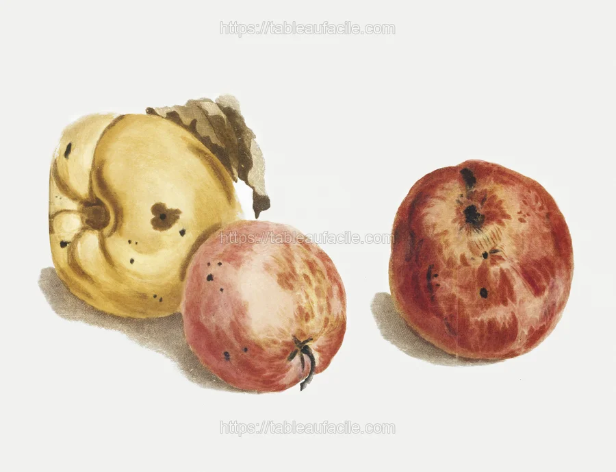 fruits461 apercu