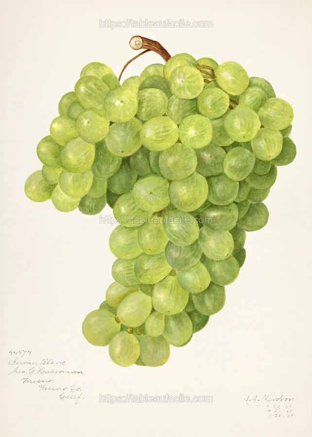 fruits470 apercu