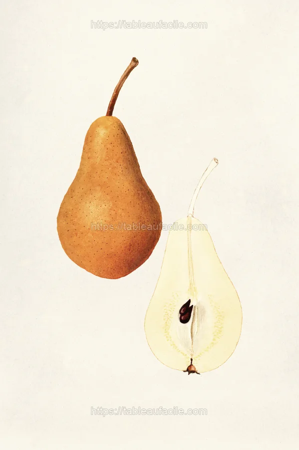 fruits472 apercu