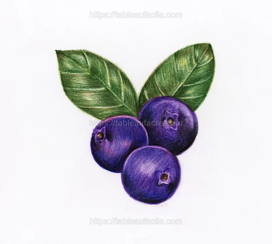 fruits477 apercu
