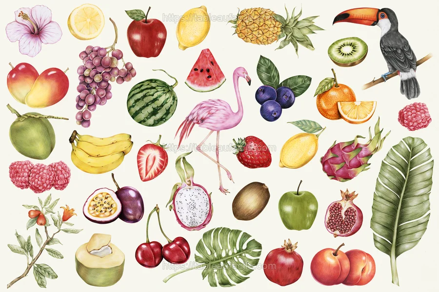 fruits489 apercu