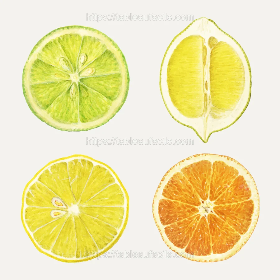 fruits494 apercu