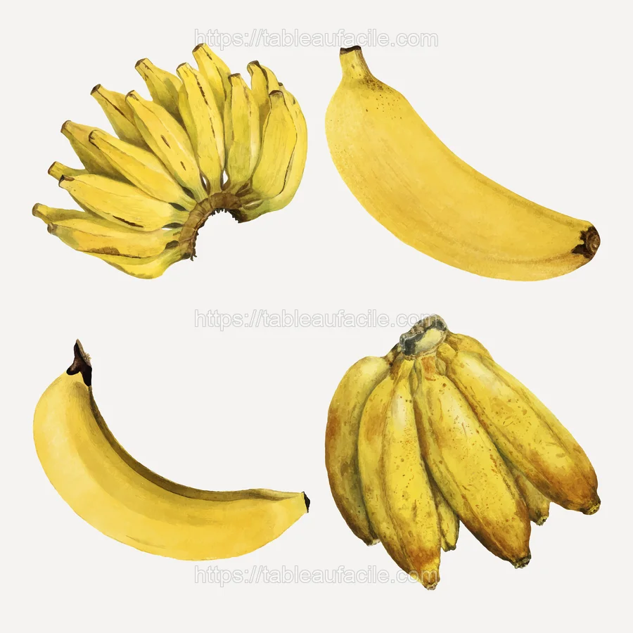 fruits509 apercu