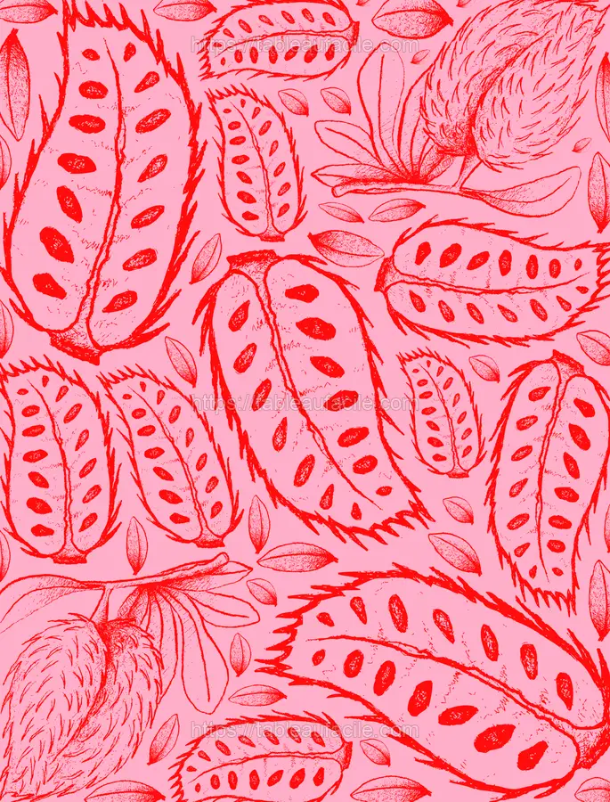 fruits518 apercu