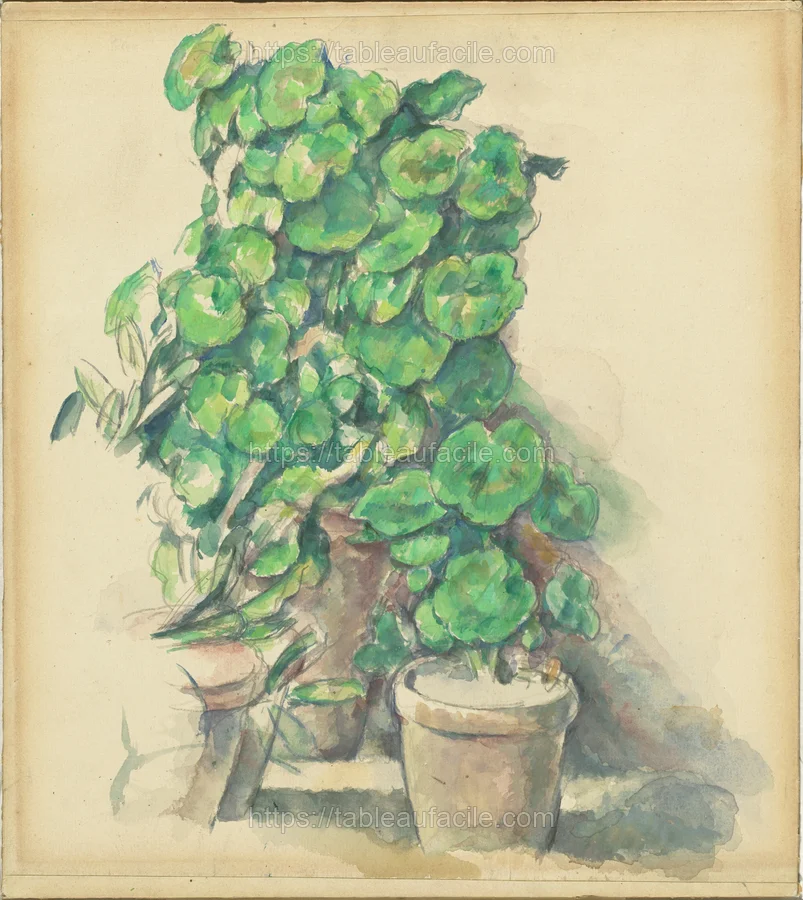 geraniums_1995.47.25 apercu