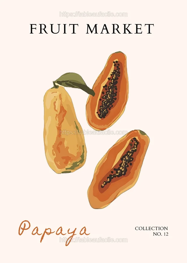 Copy of 14 apercu