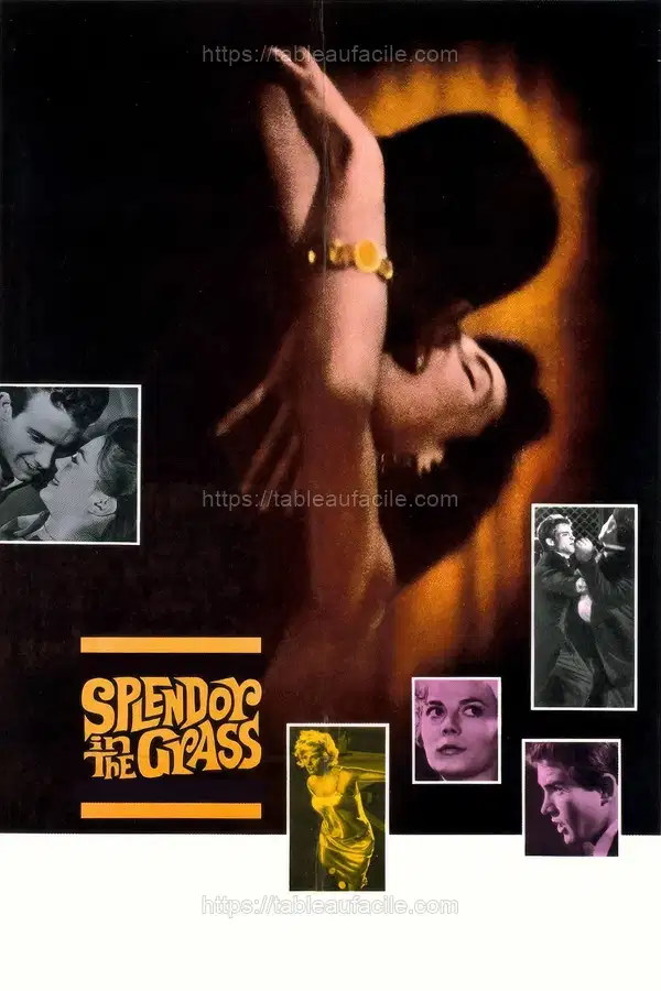 Splendor in the Grass (1961) apercu