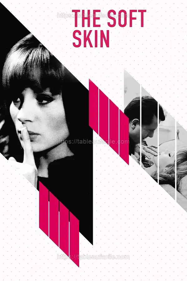 The Soft Skin (1964) apercu