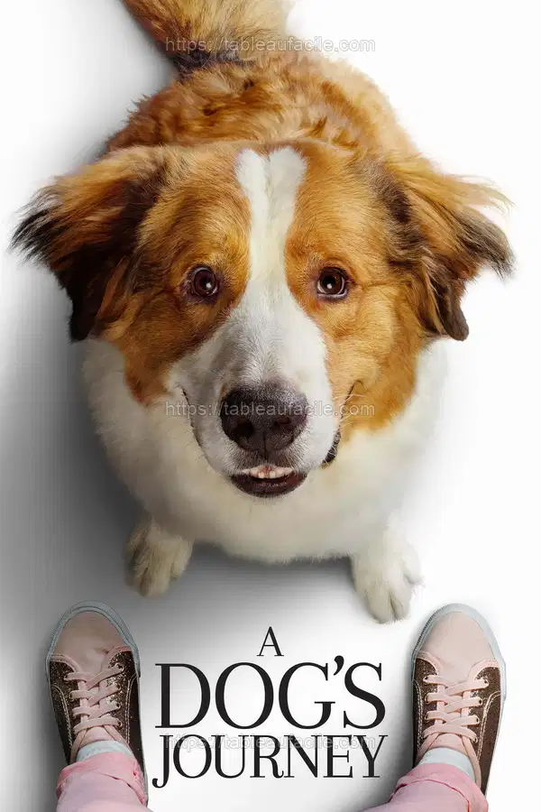 A Dog_s Journey (2019) apercu