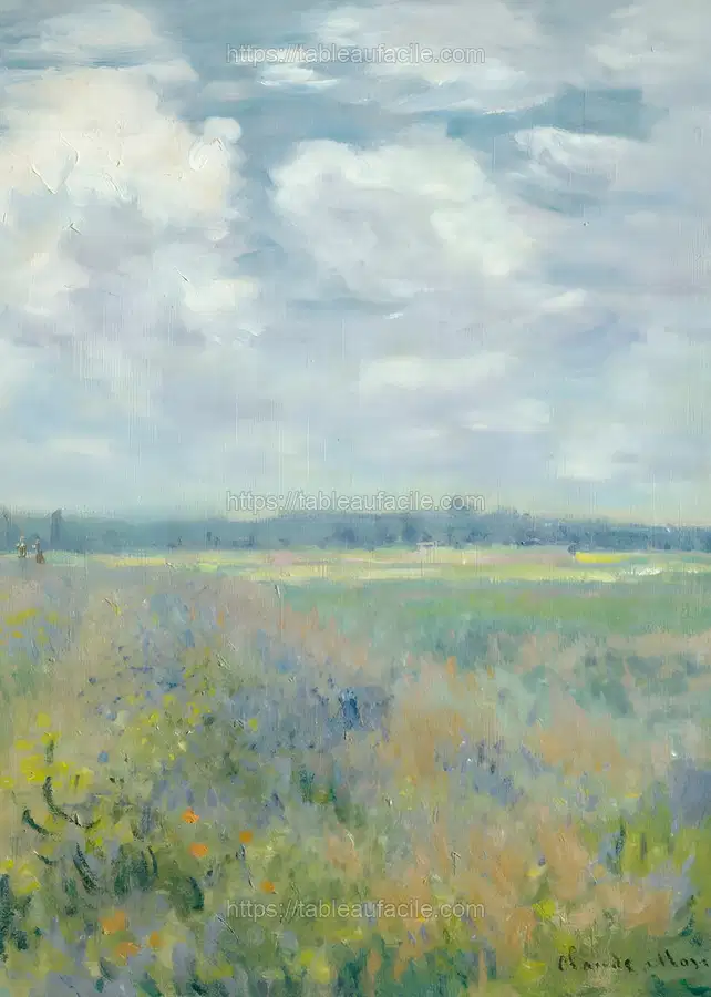 spring (101) apercu