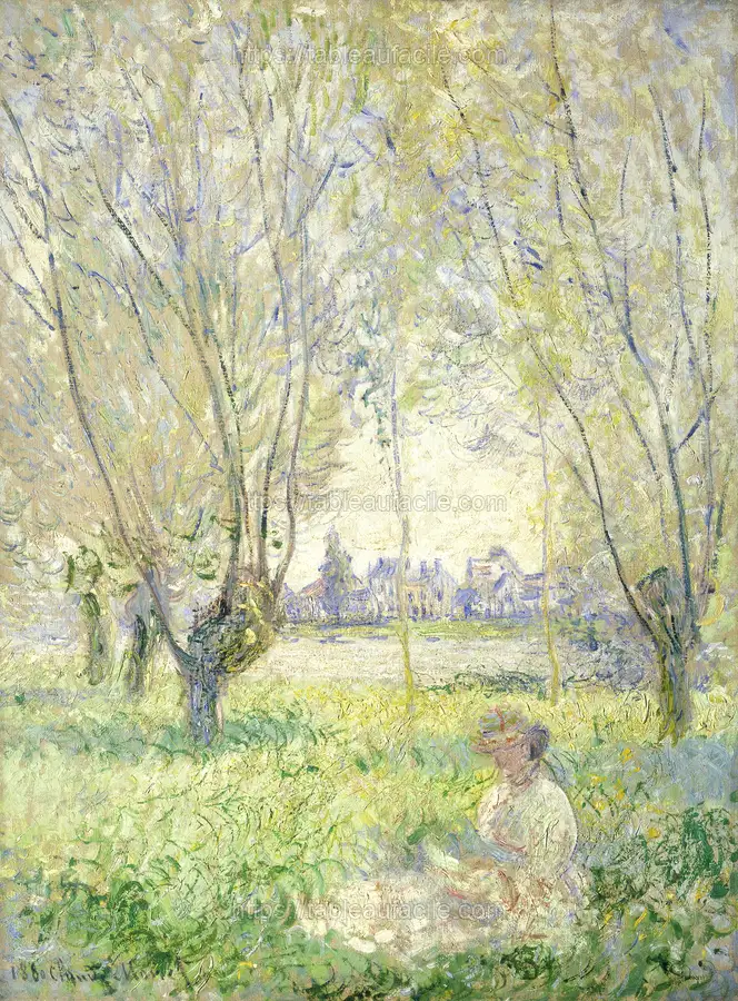 spring (20) apercu