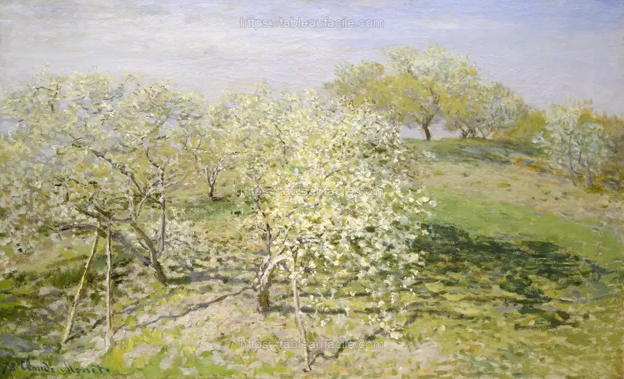 spring (69) apercu