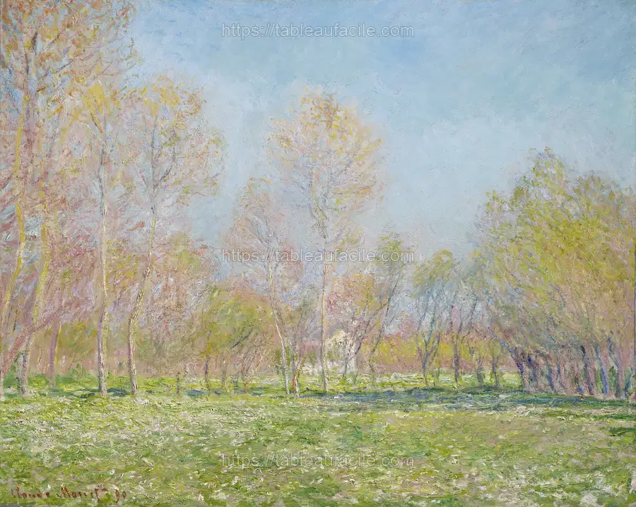 spring (72) apercu