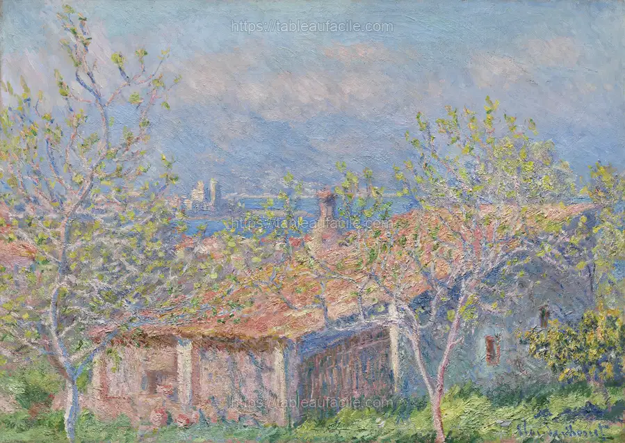 spring (75) apercu