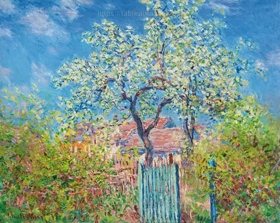 spring (79) apercu