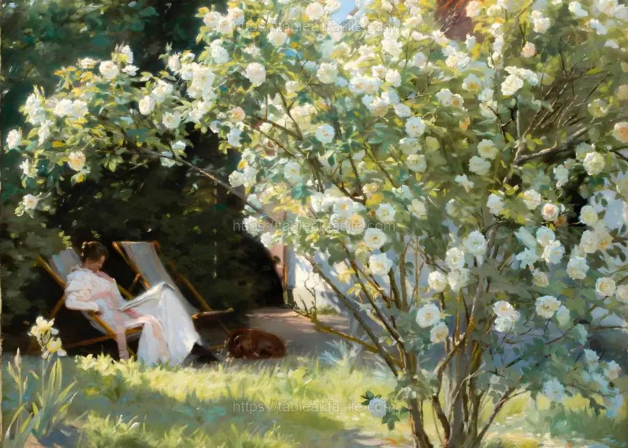 spring (92) apercu