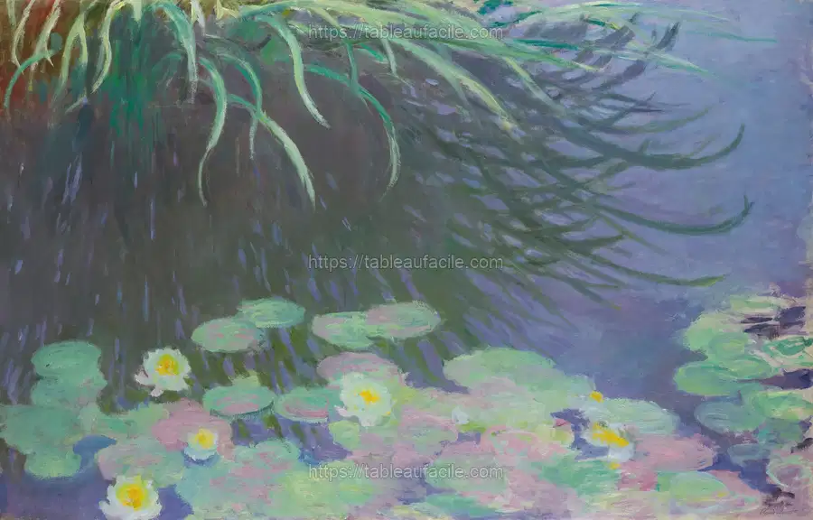 Nymphéas Avec Reflets De Hautes Herbes (1914-17) apercu