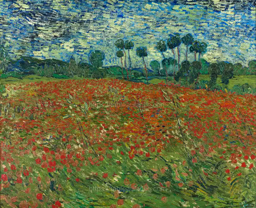 Poppy field apercu
