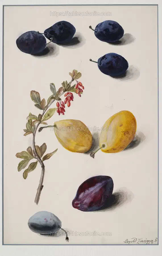 Fruits (1847) apercu