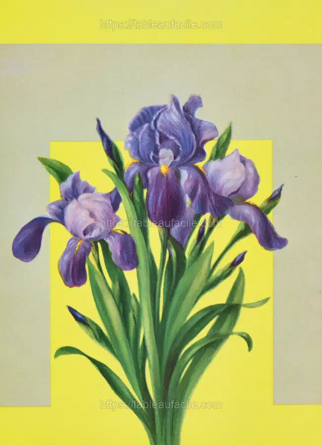 Iris (1937) apercu
