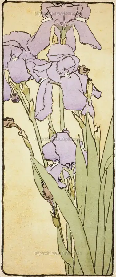 Iris (circa 1915) apercu