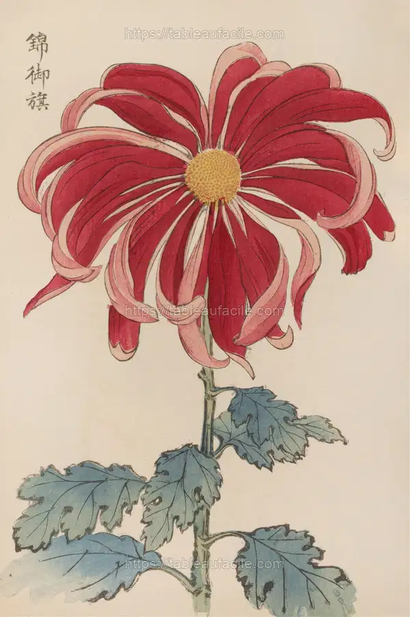 Keika hyakugiku, Pl.01 (1893) apercu