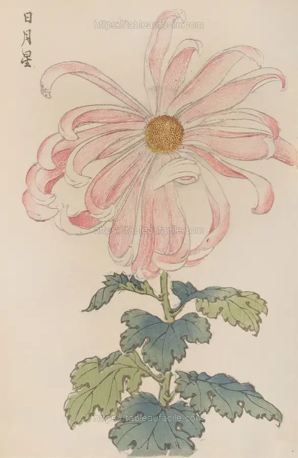Keika hyakugiku, Pl.03 (1893) apercu