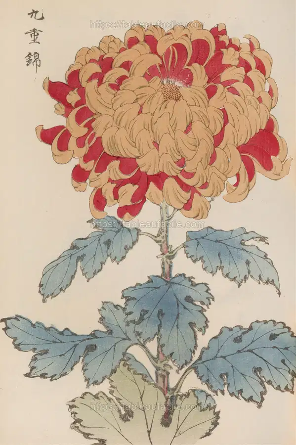Keika hyakugiku, Pl.05 (1893) apercu