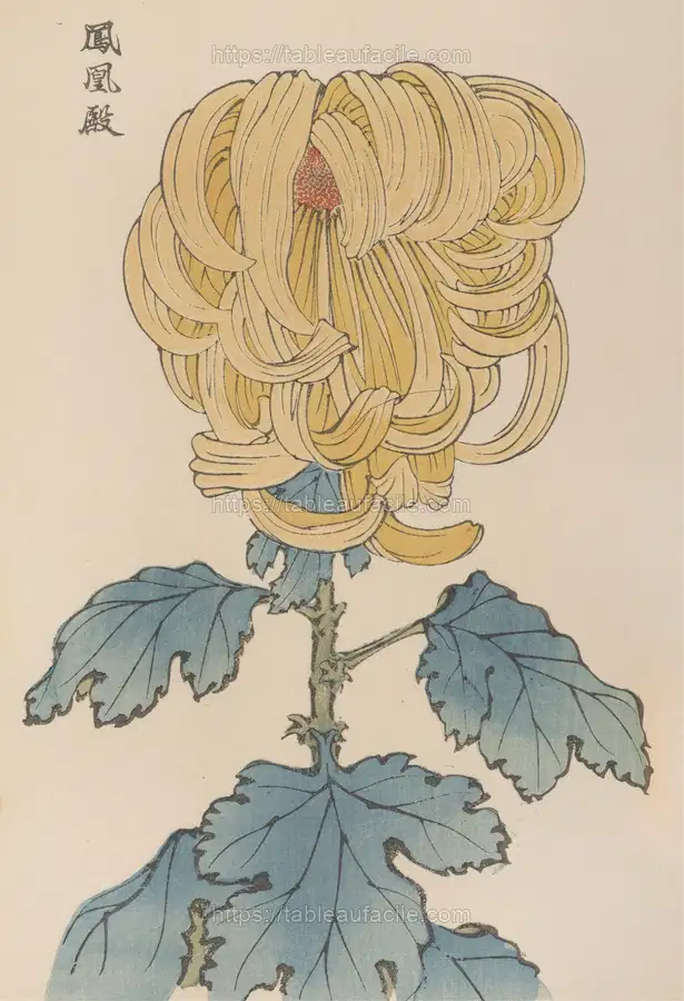 Keika hyakugiku, Pl.07 (1893) apercu