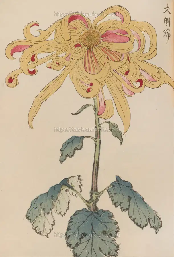 Keika hyakugiku, Pl.11 (1893) apercu