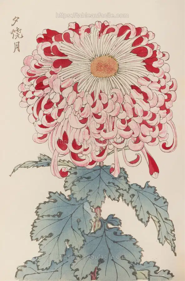 Keika hyakugiku, Pl.16 (1893) apercu
