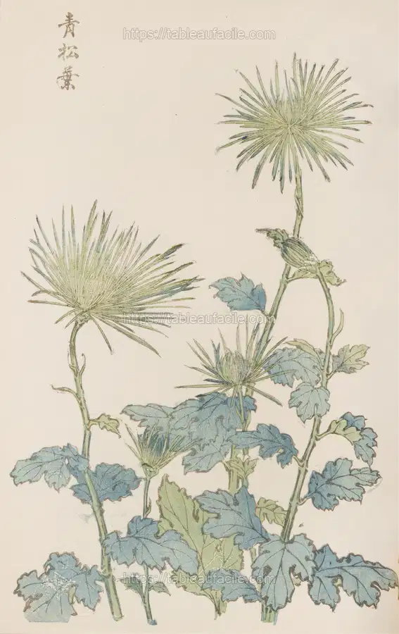 Keika hyakugiku, Pl.18 (1893) apercu