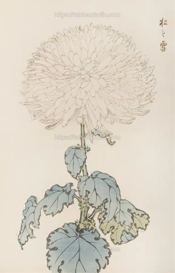 Keika hyakugiku, Pl.19 (1893) apercu