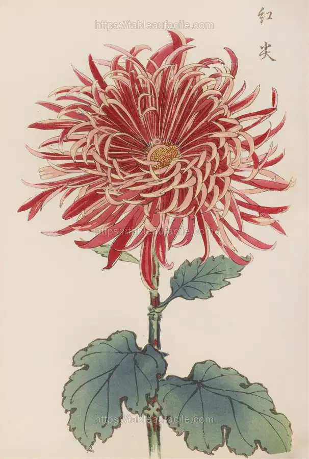 Keika hyakugiku, Pl.27 (1893) apercu