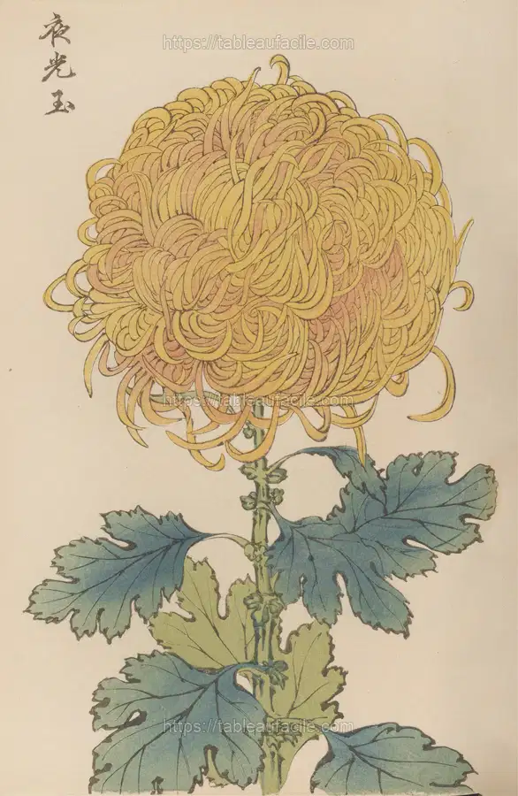 Keika hyakugiku, Pl.31 (1893) apercu