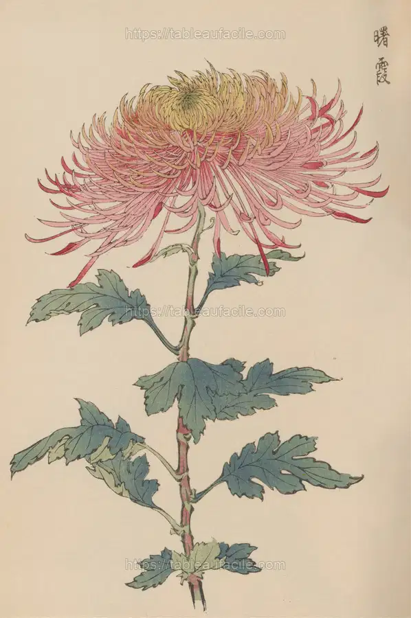 Keika hyakugiku, Pl.32 (1893) apercu