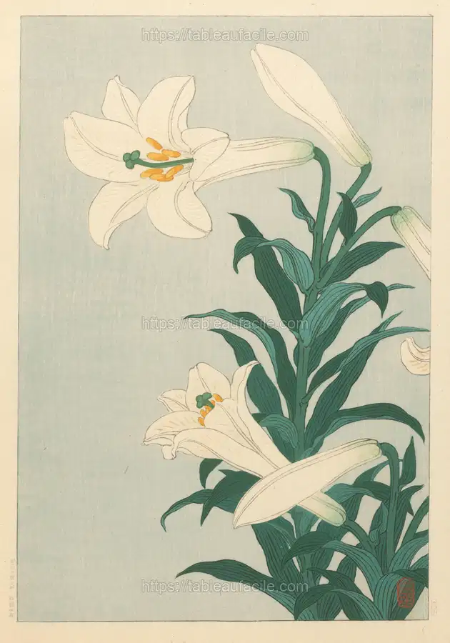 Lilies (1900 - 1930) apercu
