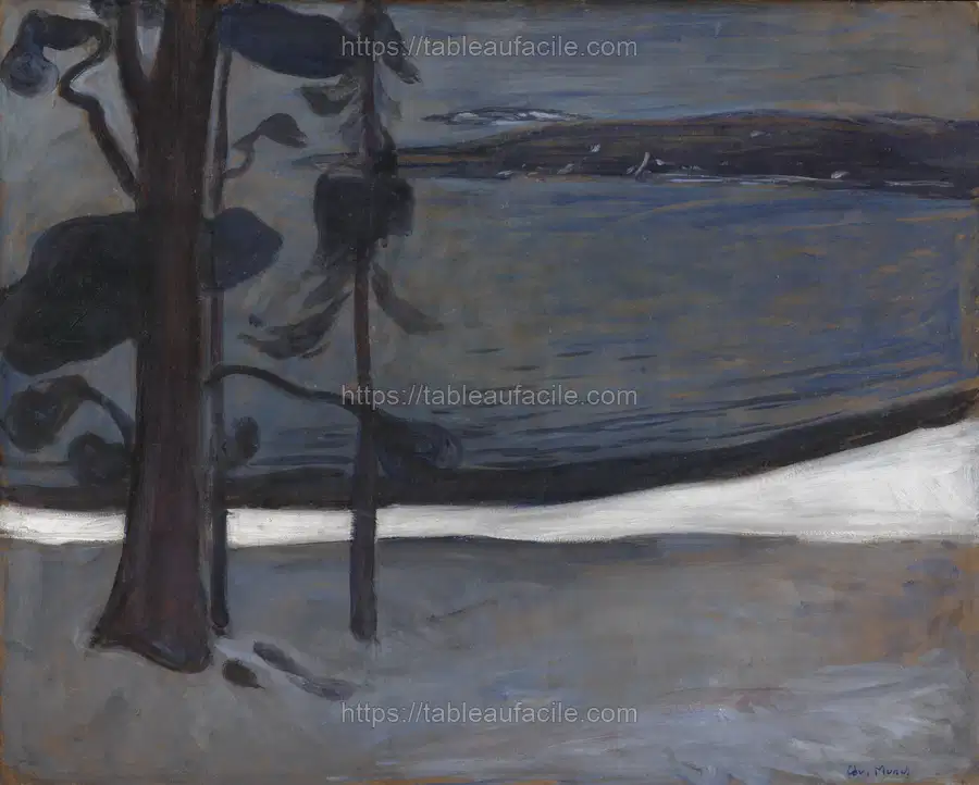 Winter at Nordstrand by Edvard Munch apercu