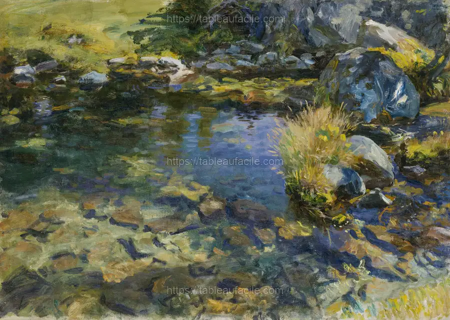 Alpine Pool (1907) by John Singer Sargent apercu