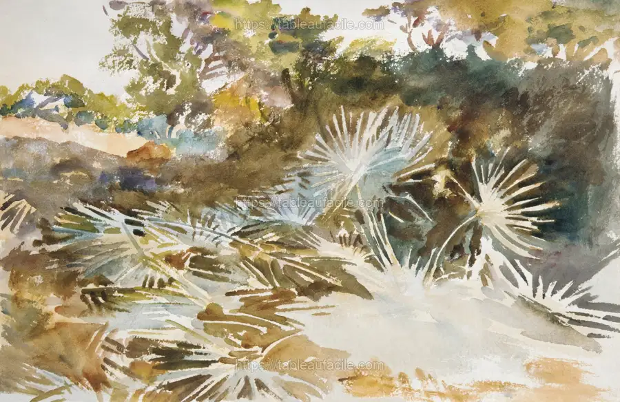 Landscape with Palmettos (1917) by John Singer Sargent apercu