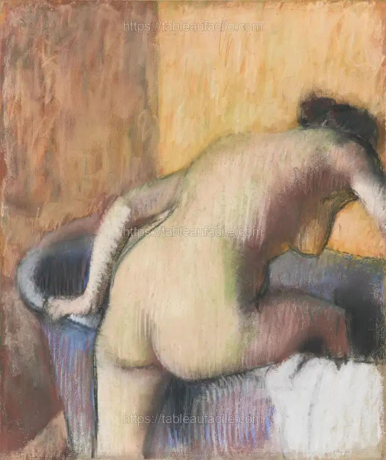 Naked lady. Bather Stepping into a Tub (ca. 1890) Edgar Degas apercu