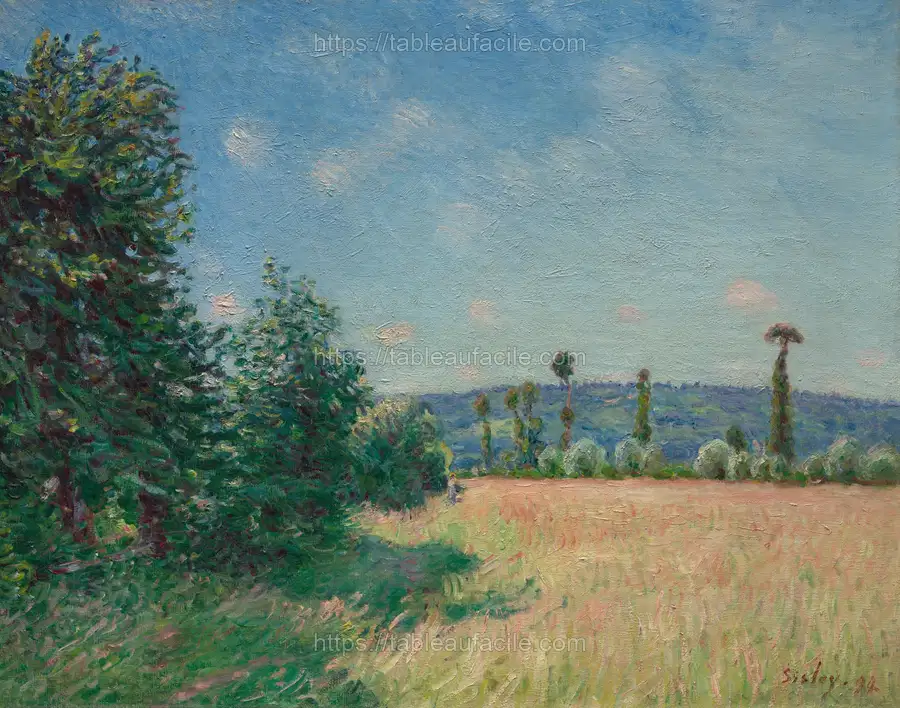 Sahurs Meadows in Morning Sun by Alfred Sisley apercu