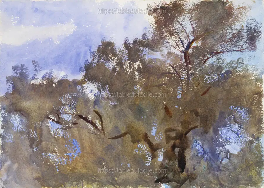 Treetops against Sky (ca. 1909–1913) by John Singer Sargent apercu
