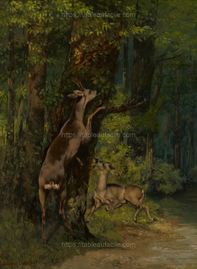 Deer in the Forest (1868)  Gustave Courbet apercu