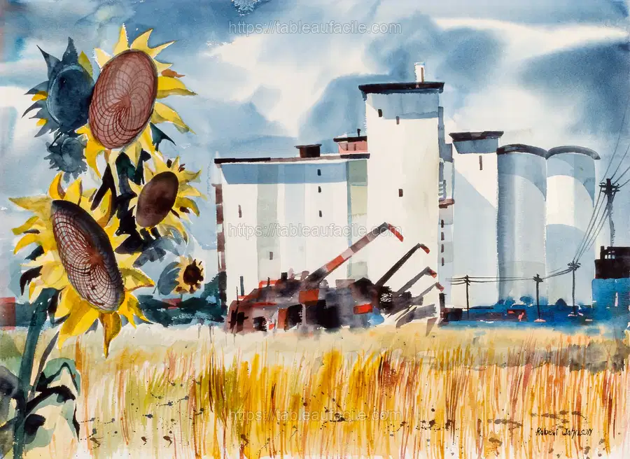 Grain Elevator, Kansas by Robert Johnson. apercu