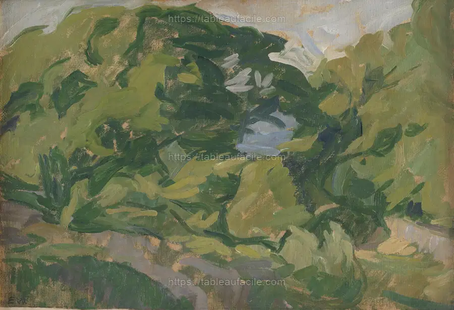 Landscape.Christiansø by Edvard Weie apercu