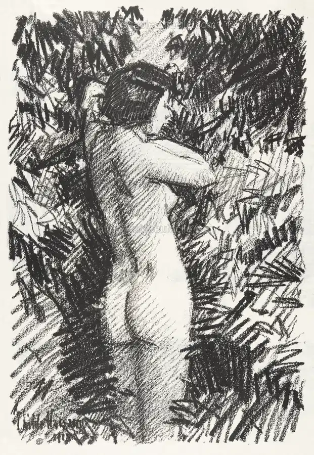 Nude (1917) by Childe Hassam apercu