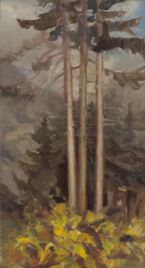 Spruce by Zolo Palugyay apercu