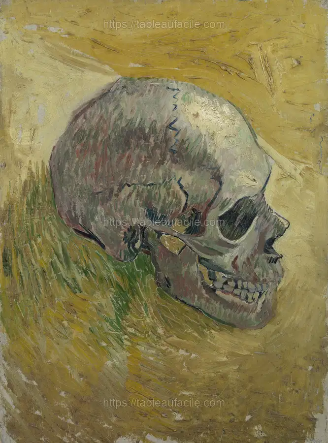 Skull (1887) expressionism by Vincent van Gogh. apercu