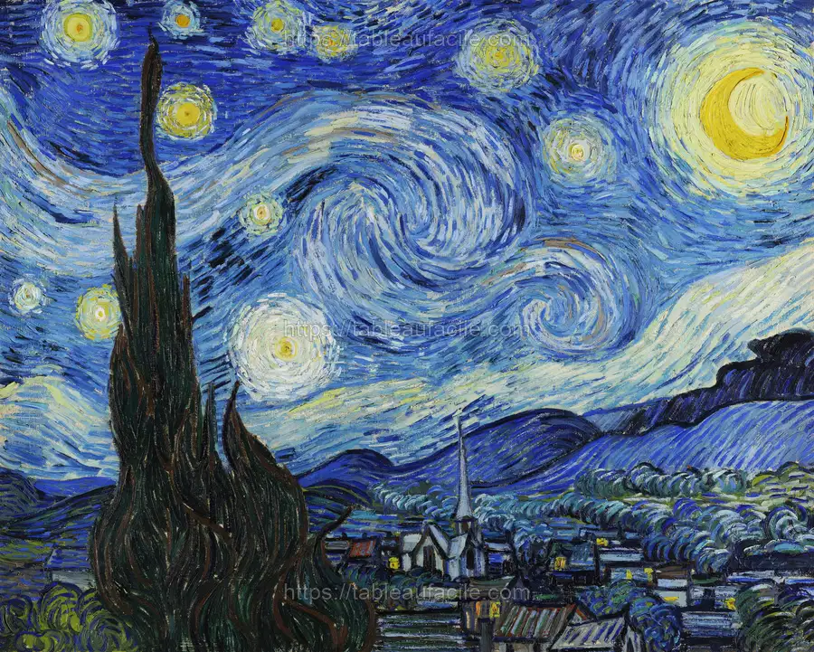 Vincent Van Gogh_s The Starry Night (1889) apercu